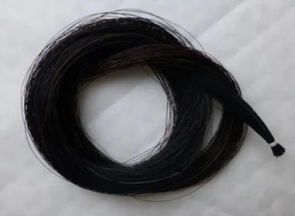Horse Hair