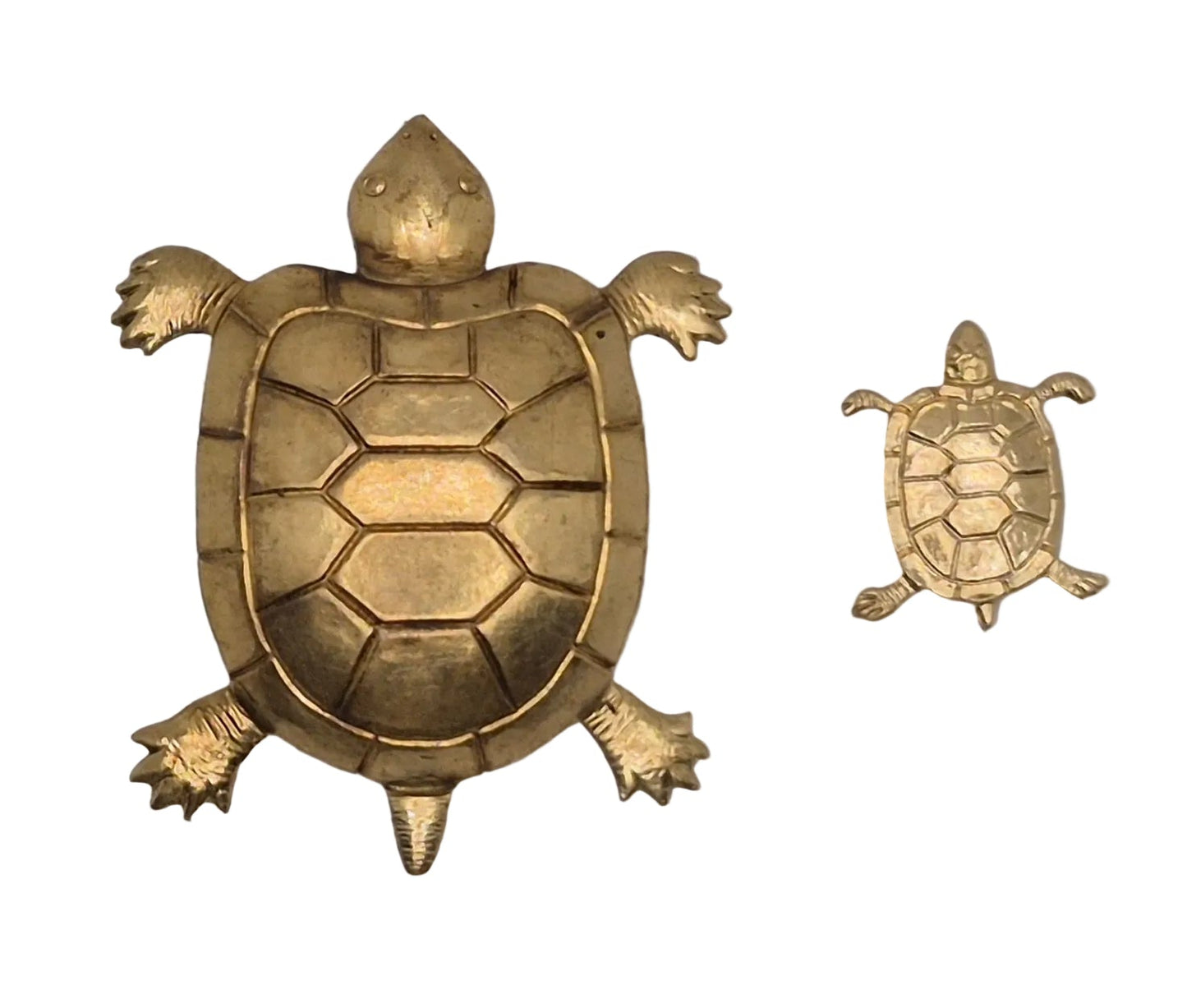Brass Turtles