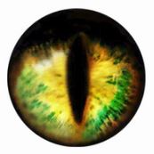 Glass Eye Cabochons