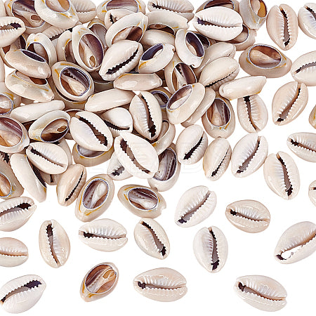 Cowrie Shells
