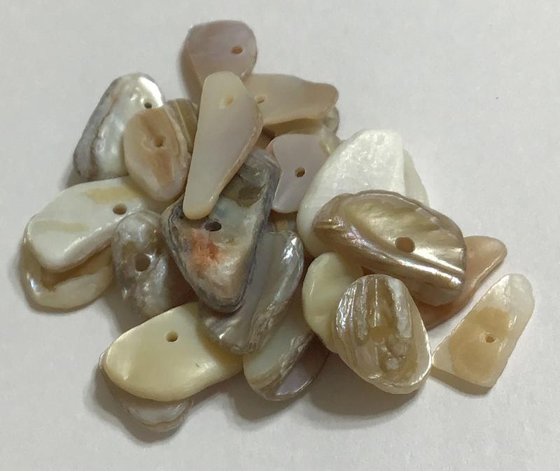 Chip Chip Shell Drilled Shell Chips – Arizona Gourds