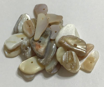 Drilled Shell Chips