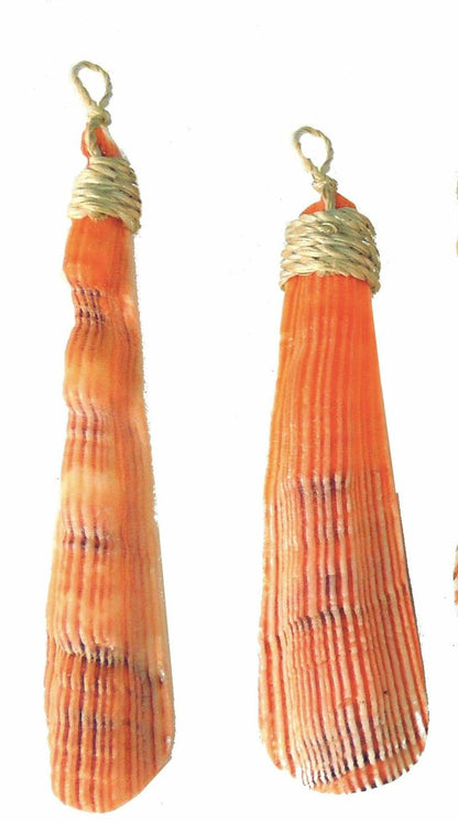 Lion's Paw Shell pendants with rope ends