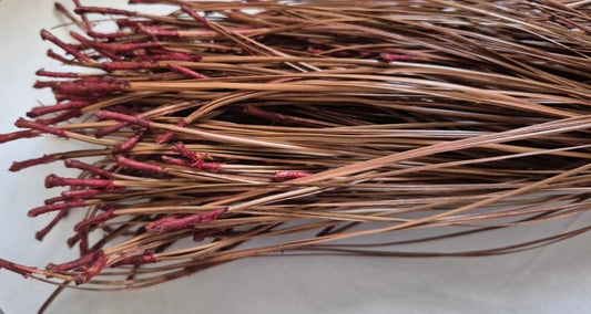 Pine Needles