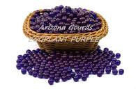 Eggplant Purple Lamp Beads